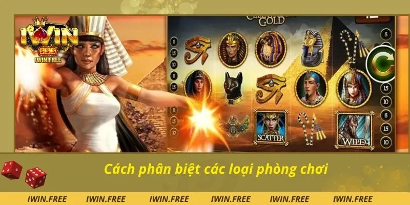 Cách phân biệt các loại phòng chơi