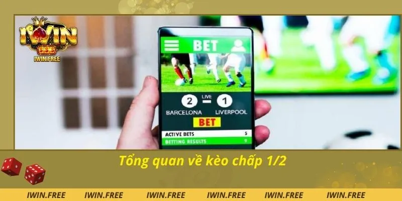 Tổng quan về kèo chấp 1/2